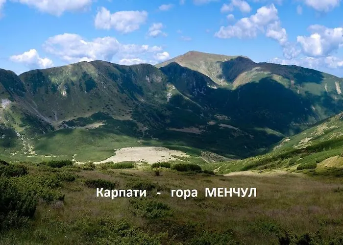 Manchela Vygoda